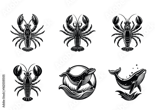 Black and white vector drawings of lobsters and whales in different poses