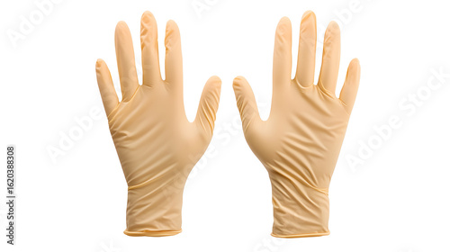Pair of disposable latex gloves beige color protective medical clean isolated on white background sterile safety