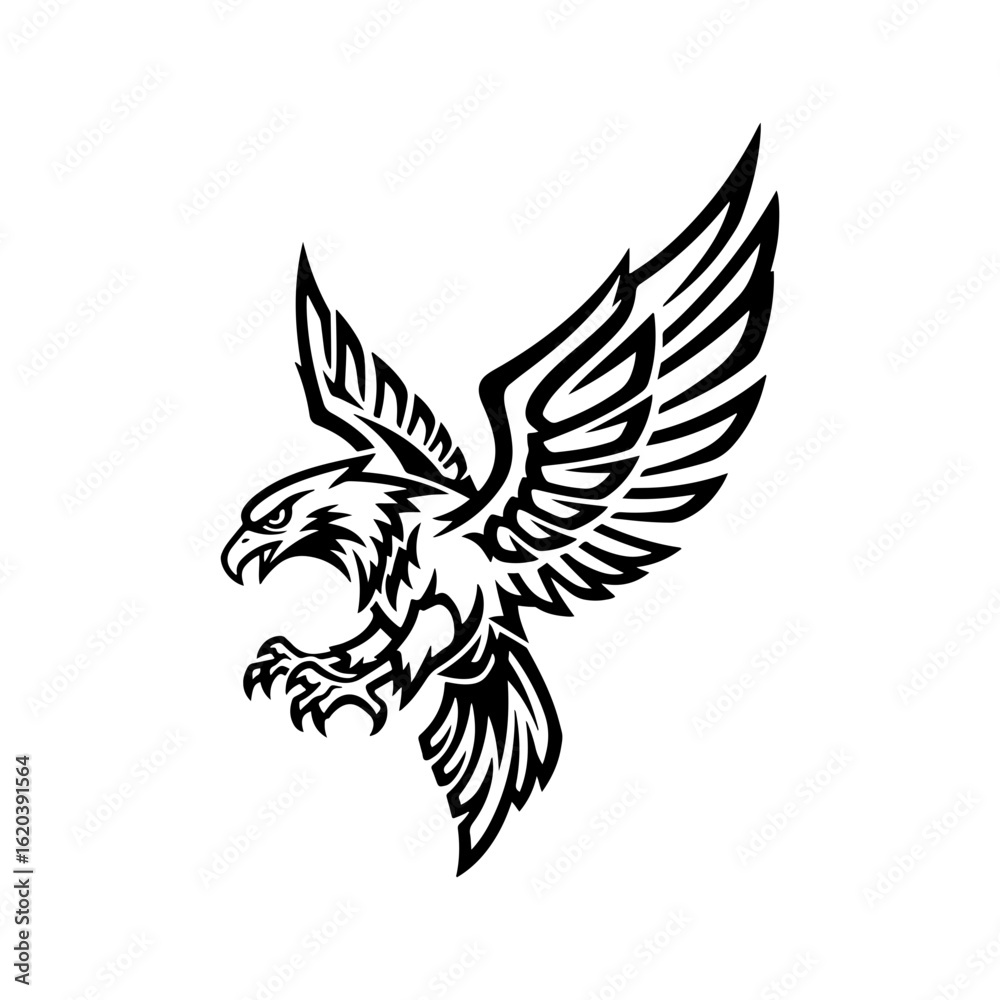 Obraz premium eagle with wings