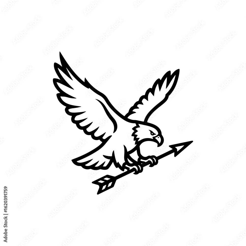 Obraz premium eagle in flight