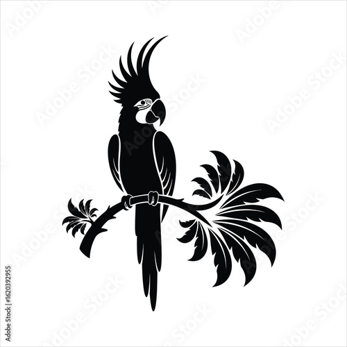 Vector art of silhouette of a cockatoo parrot perched on a branch isolated on white background
