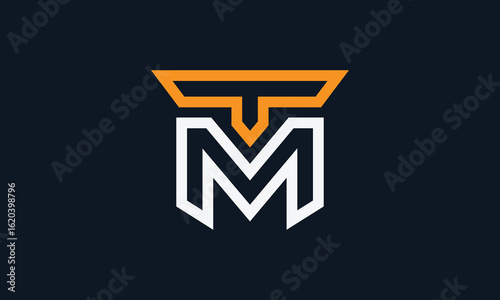 TM or MT outline monogram logo design