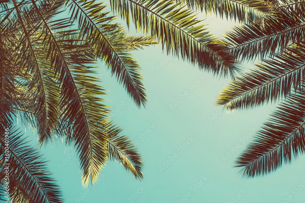 Fototapeta premium Palm fronds against a turquoise sky, evoking tropical vibes and summer vacation dreams, perfect for travel and lifestyle content