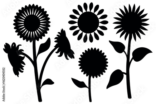 Five sunflower silhouettes bloom distinctly on individual stems against a transparent backdrop showcasing summer