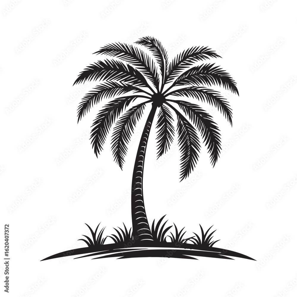 Obraz premium Black Palm Tree Outline Vector Art