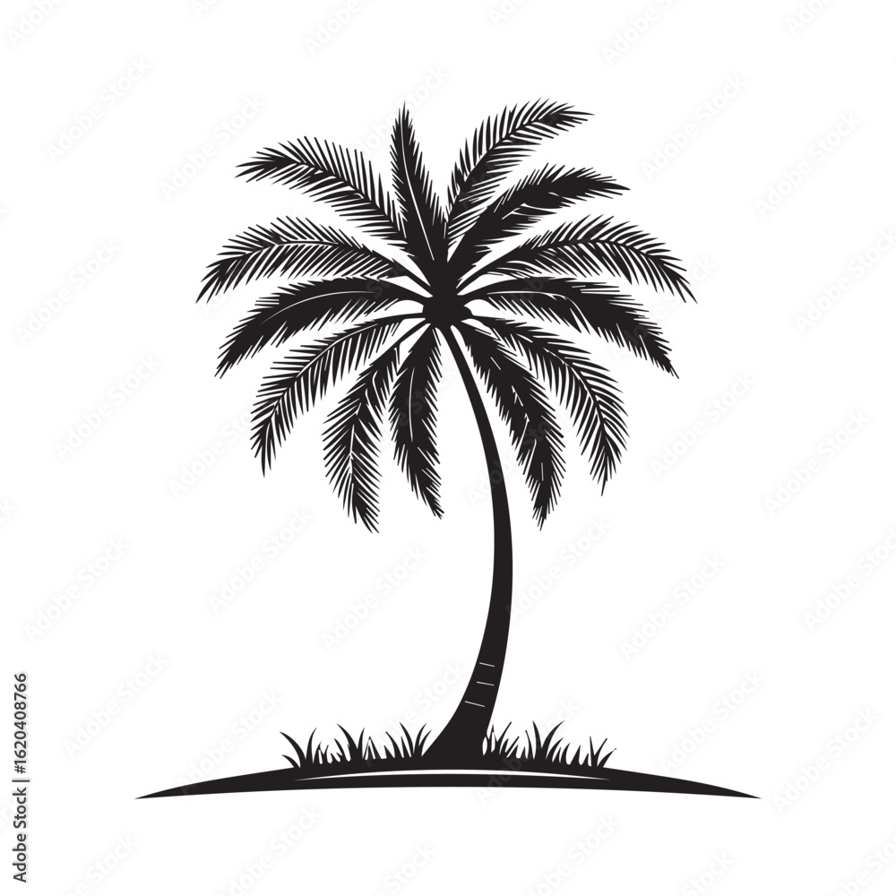 Obraz premium Palm Tree Black Icon on White Background