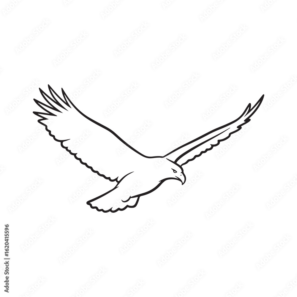 Obraz premium dove in hand