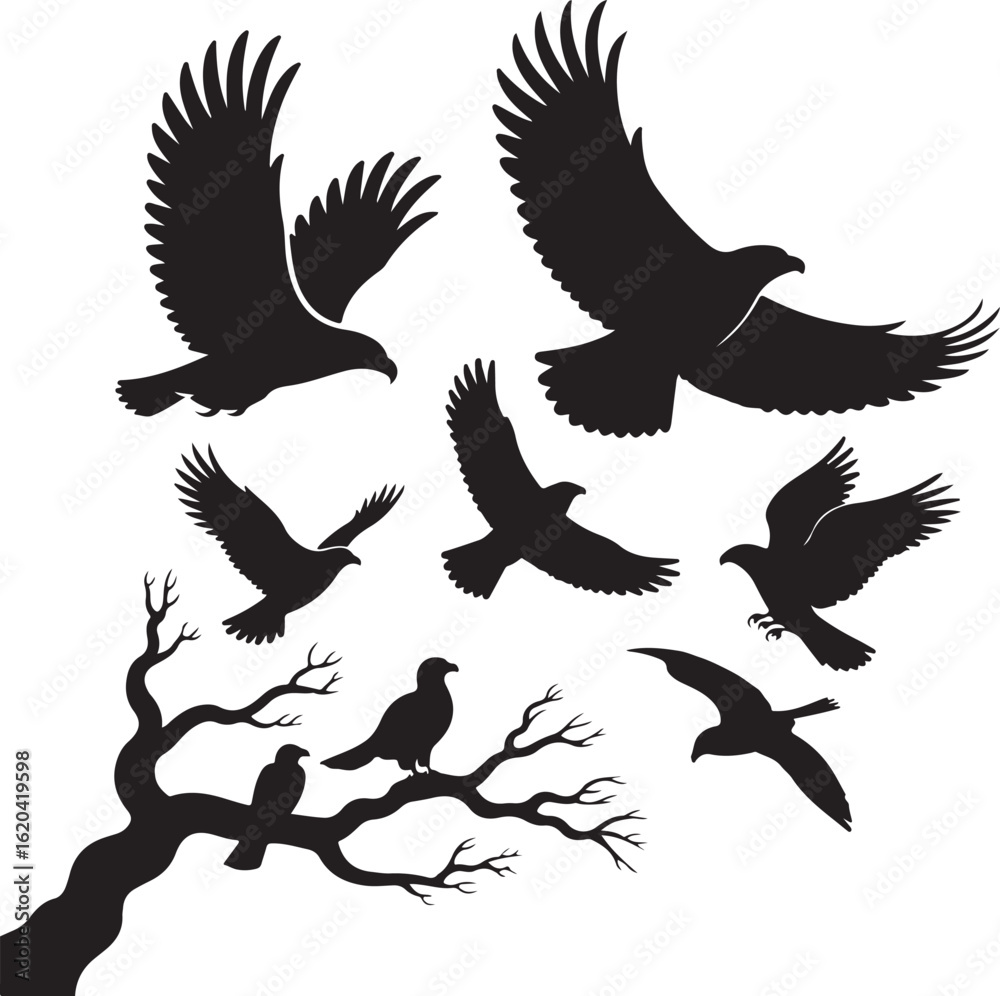 Fototapeta premium Eagle and Bird Silhouette Collection — Soaring, Gliding, and Perching PosesEagle and Bird Silhouette Collection — Soaring, Gliding, and Perching Poses