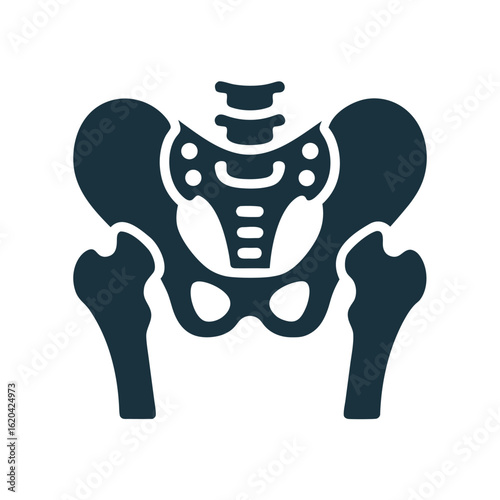 Dark blue human pelvis and femur bones icon on white background skeleton anatomy