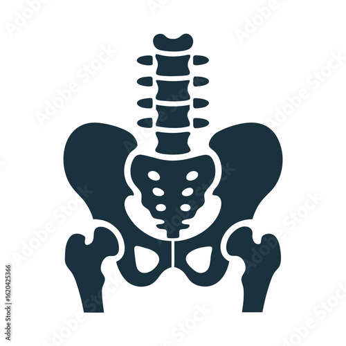 Dark blue human pelvis and spine icon on white background bone skeleton 2