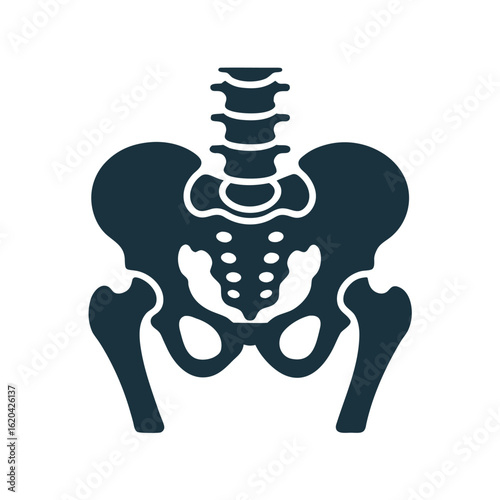 Dark blue human pelvis and spine icon on white background skeleton anatomy 7
