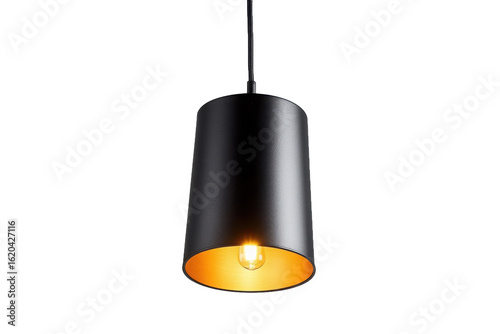 Hanging black and gold ceiling lamp