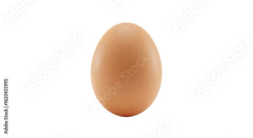 A single brown egg isolated on transparent background