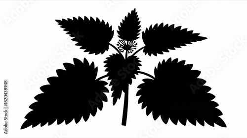Minimalist black silhouette of a stinging nettle plant on a clean white background