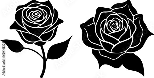 Black rose silhouette set, Set of rose silhouettes, Black rose silhouette collection, Vector of rose, rose silhouette, rose flower isolated on white background
