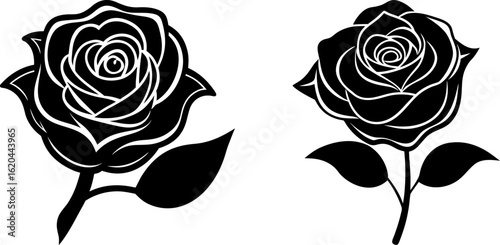 Black rose silhouette set, Set of rose silhouettes, Black rose silhouette collection, Vector of rose, rose silhouette, rose flower isolated on white background