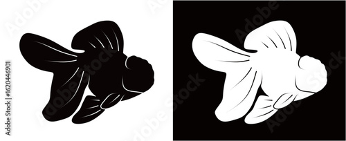 Silhouette of a goldfish isolated on a black and white background. Vector illustration of a goldfish. Ornamental fish concept.