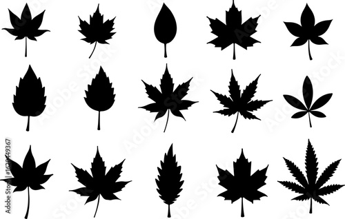 This elegant collection of Autumn Leaves Icons features a variety of leaf silhouettes in a clean, black vector