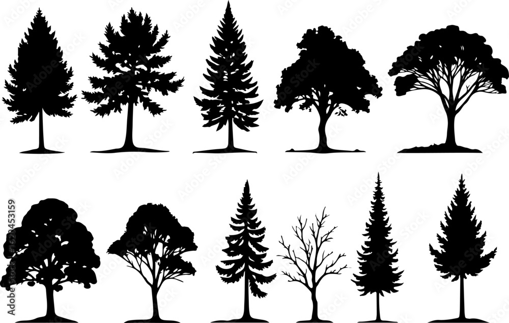 Fototapeta premium Black Silhouette Tree Vector Set – Nature Elements Collection