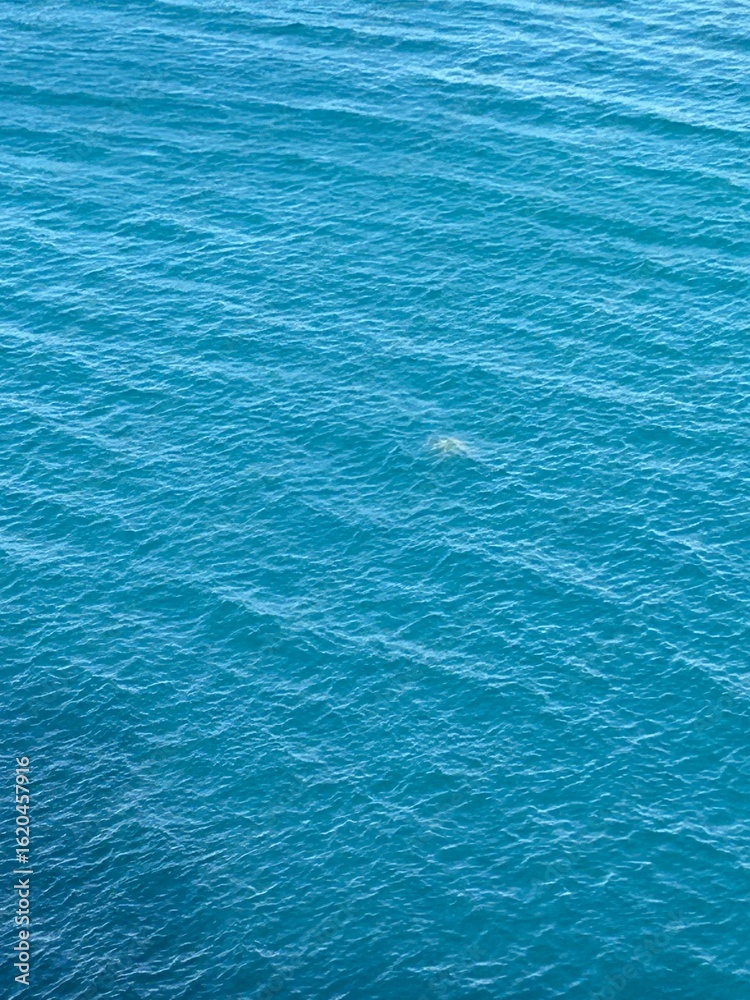 Obraz premium blue water background