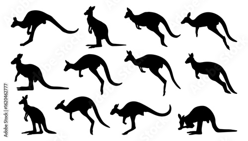 kangaroo silhouettes collection set on white background