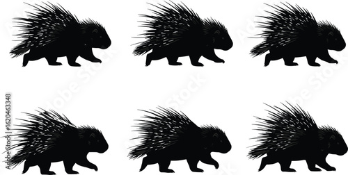 Porcupine silhouette vector set, wild rodent illustration, spiny animal clipart collection, forest wildlife graphic for logo, t-shirt, signage, decoration, and digital artwork