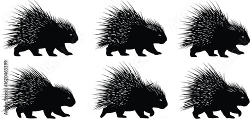 Porcupine silhouette vector collection, wild animal clipart set, spiky rodent illustration, forest wildlife graphic design for t-shirt, logo, poster, decoration, and digital use
