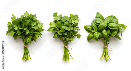 Fresh Herbs: Parsley, Cilantro, and Basil Bundles on White Background