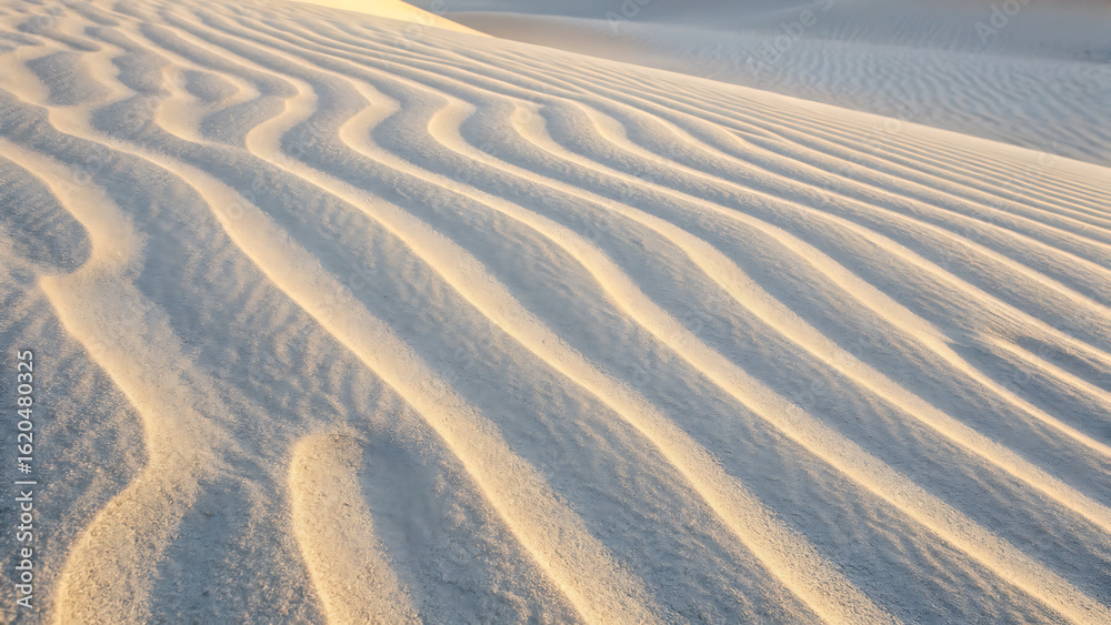 Obraz premium Golden hour sunlight illuminates rippling sand dunes creating a textured abstract natural landscape