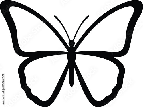 Butterfly silhouette with symmetrical curved wings and internal line details isolated on white vector graphic