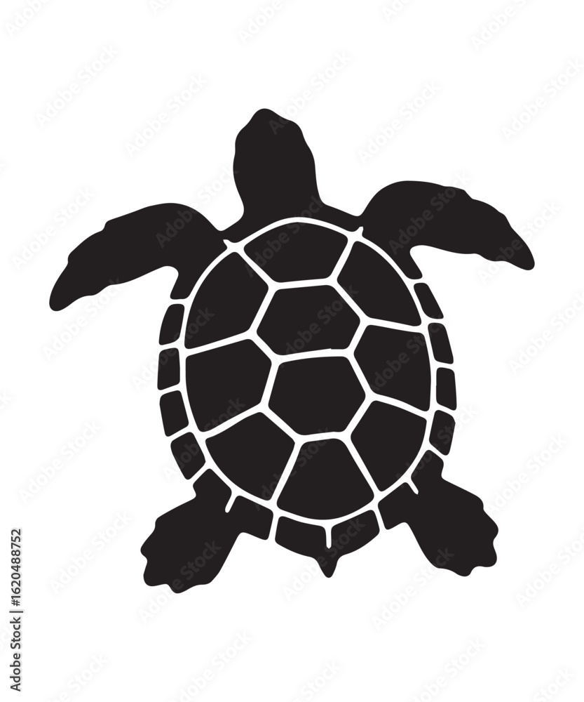 Obraz premium Black Turtle Silhouette with Geometric Shell Pattern