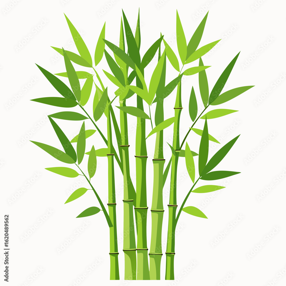 Naklejka premium bamboo vector illustration