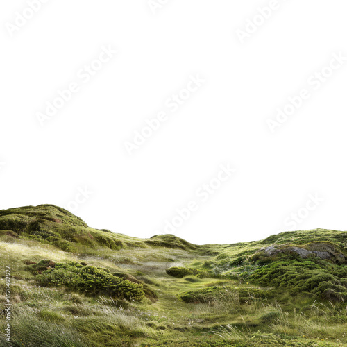 Rolling grassy hills, muted greens, and a dark background