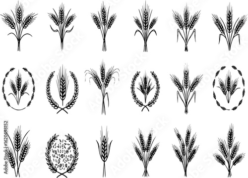Wheat barley ears, oat isolated frames and wreaths. Grains graphic, rice or malt icons. Gluten pictogram, cereal silhouettes tidy vector set, agriculture symbols