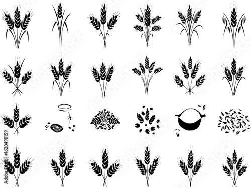 Wheat barley ears, oat isolated frames and wreaths. Grains graphic, rice or malt icons. Gluten pictogram, cereal silhouettes tidy vector set, agriculture symbols