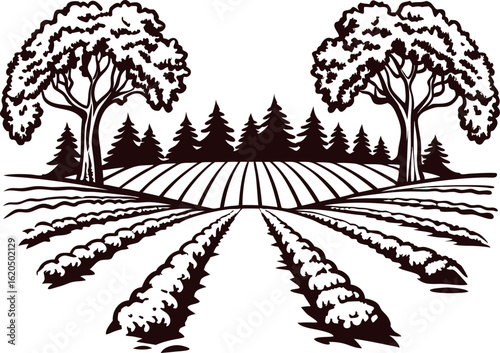 Vintage hand drawn farmland illustration with plowed fields, trees, and distant forest in engraved etching