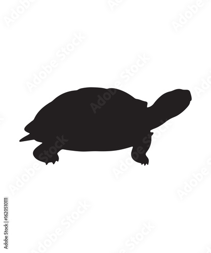 Black Turtle Silhouette with Geometric Shell Pattern