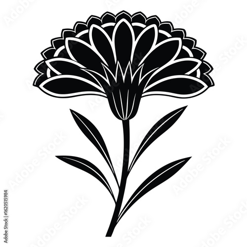 Black carnation flower silhouette with white outline on white background vector