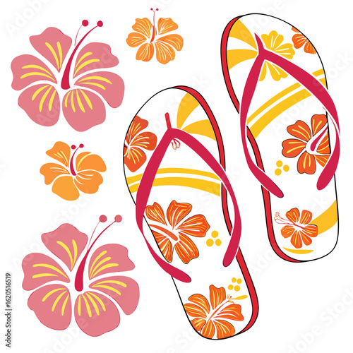 colorful tropical flip flops vector with Hibiscus