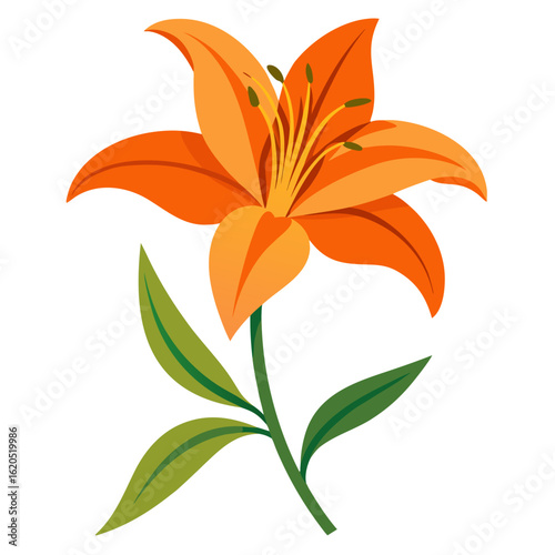 orange tiger lily