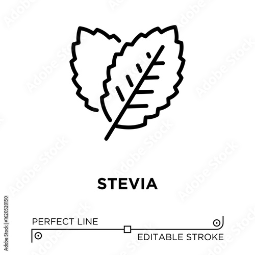 Vector line icon related to stevia. Perfect Line. Editable Stroke.