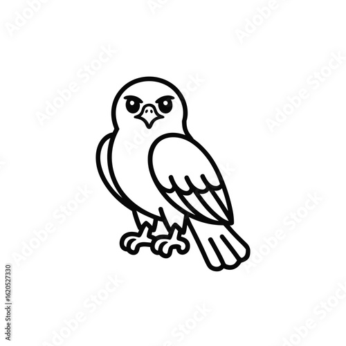 Fierce owl bird raptor