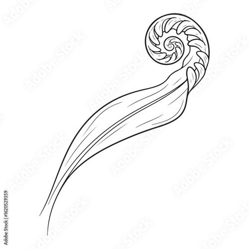 Black and white line art illustration of an unfurling fern frond, or fiddlehead, with a distinct spiral pattern, symbolizing growth and nature.