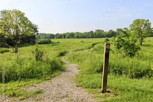 The trail in the prairie on a sunny summer day.