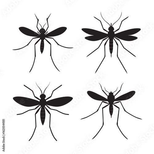 silhouette mosquito biting with proboscis extended