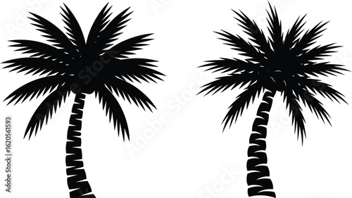 Palm Tree Silhouettes