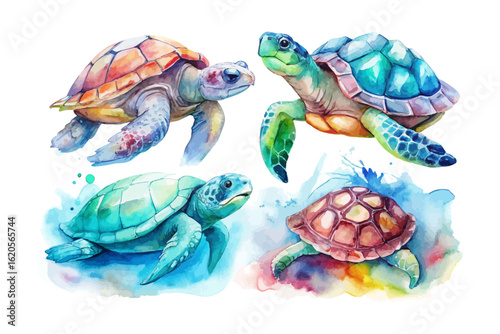 set of watercolor Turtle vector illustration isolated on white background