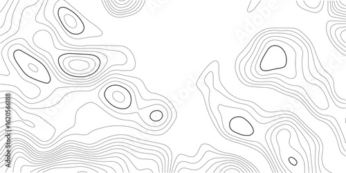 Topographic map background. Geographic line map with elevation assignments. Contour background geographic grid. Vector illustration.