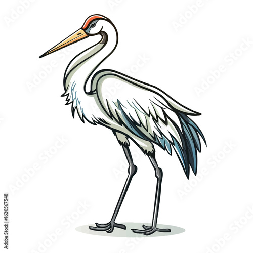 Elegant White Crane with BlueGray Wingtips and Orange Beak