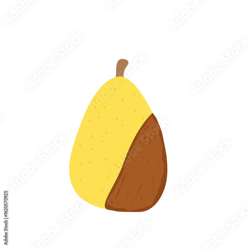 Rotting fruit illustration. Fruit illustration. Rotten fruit flat design. Rotten fruit vector illustration